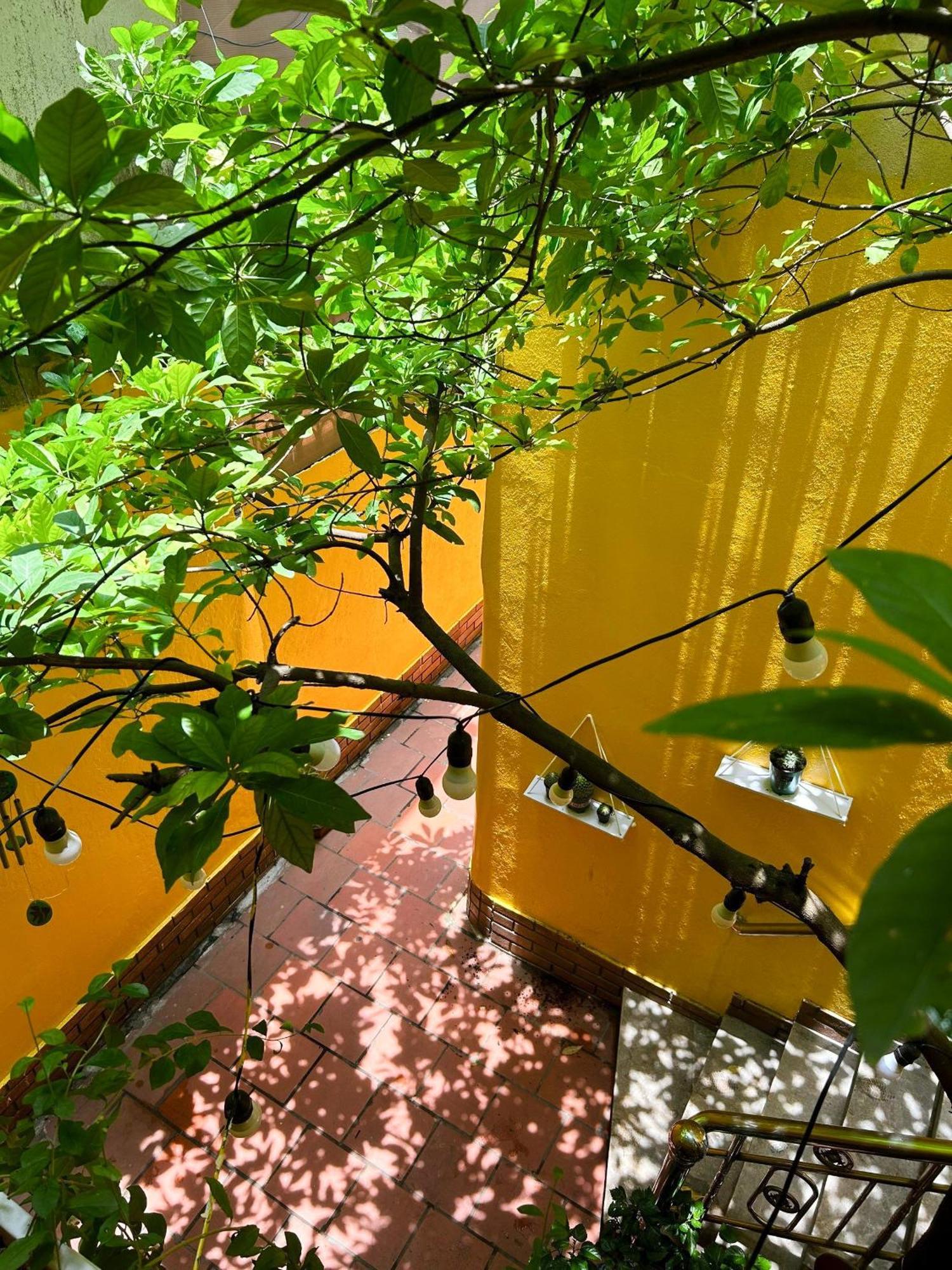 Morri Homestay - Quan Thanh Hanoi Eksteriør bilde