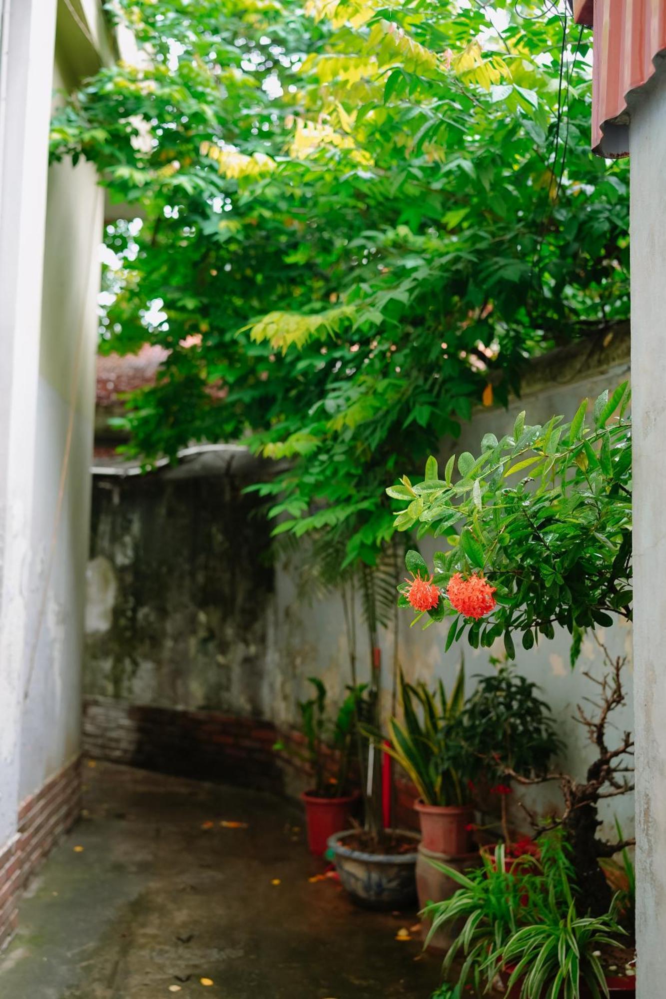 Morri Homestay - Quan Thanh Hanoi Eksteriør bilde