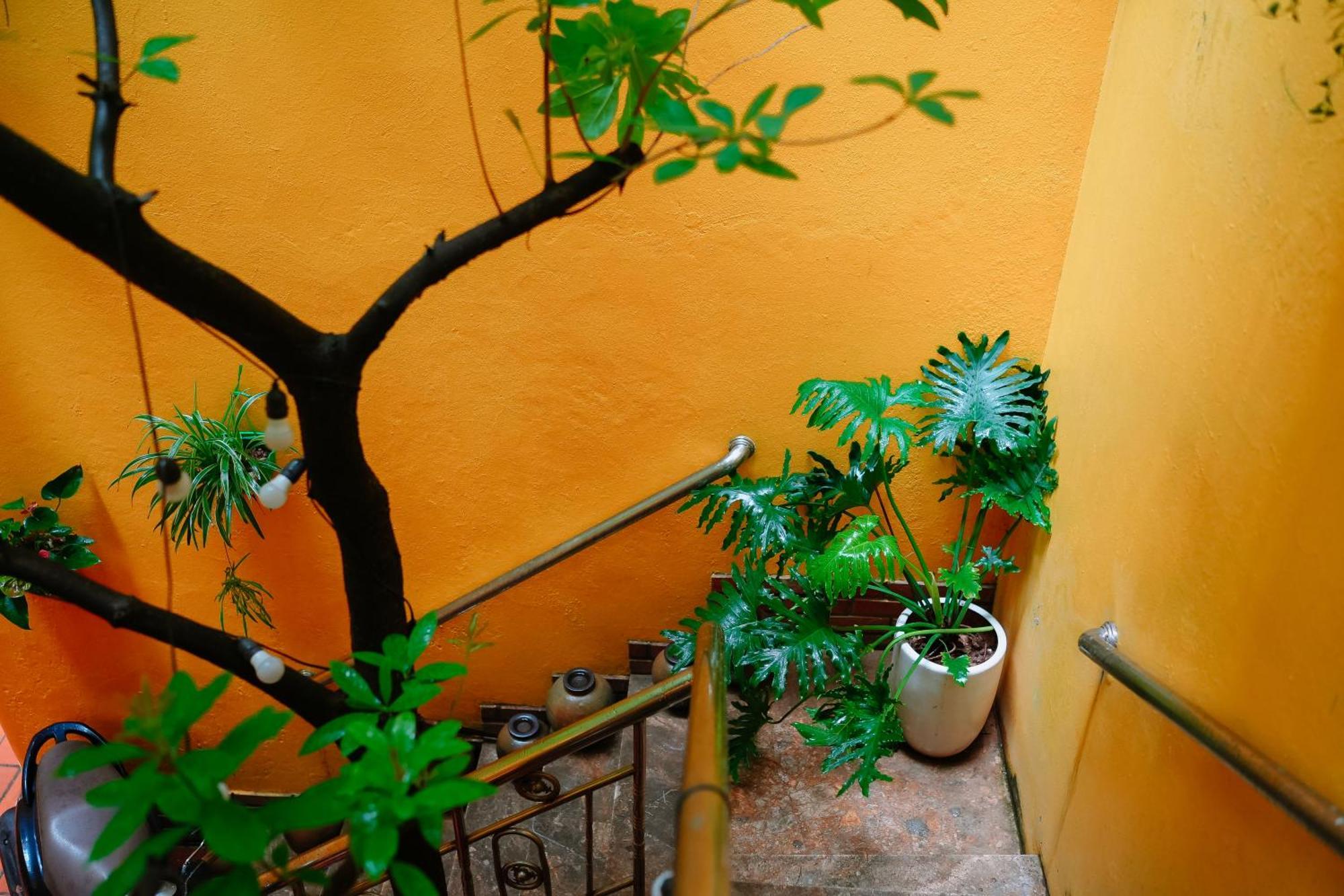 Morri Homestay - Quan Thanh Hanoi Eksteriør bilde