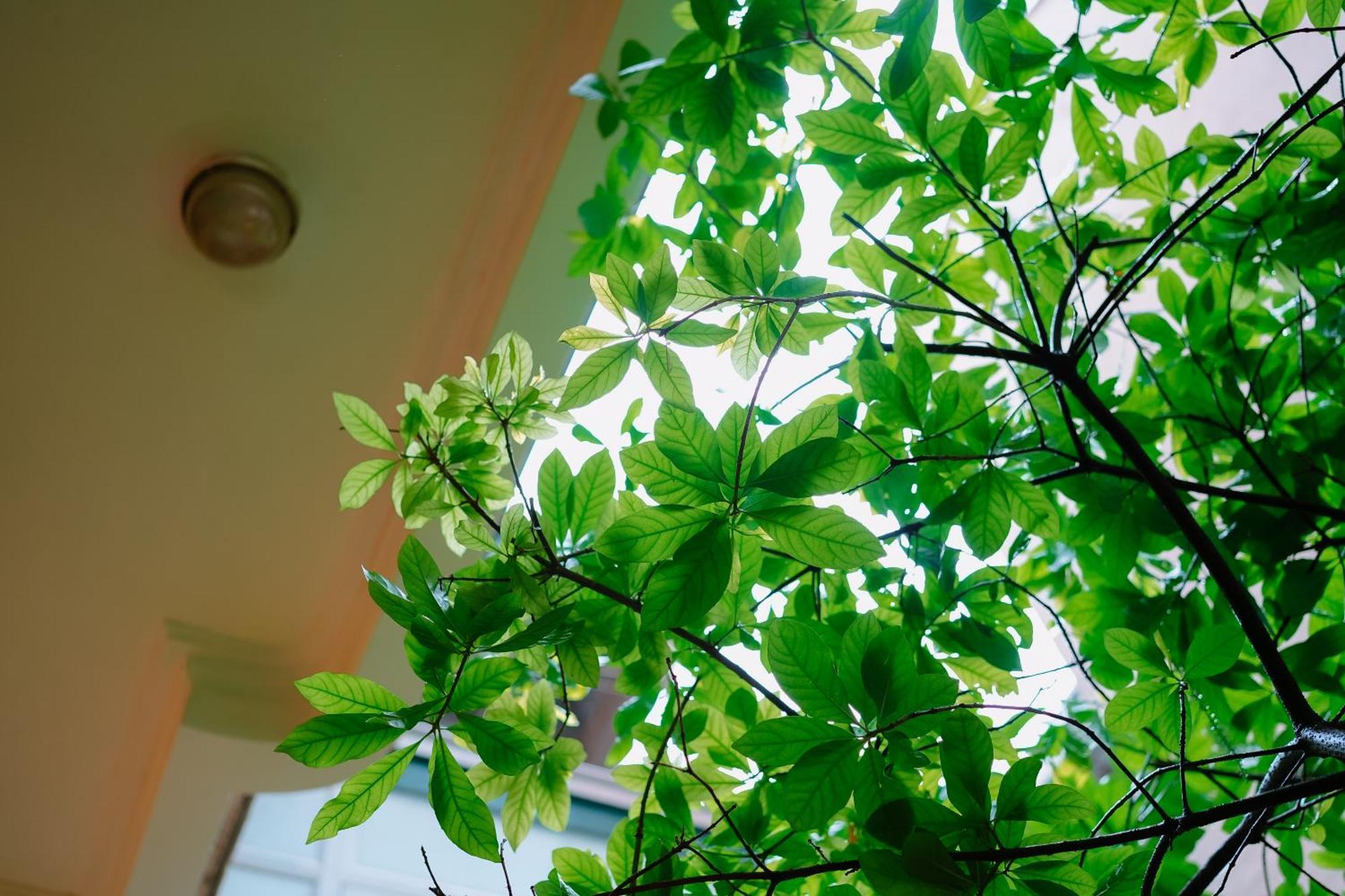 Morri Homestay - Quan Thanh Hanoi Eksteriør bilde
