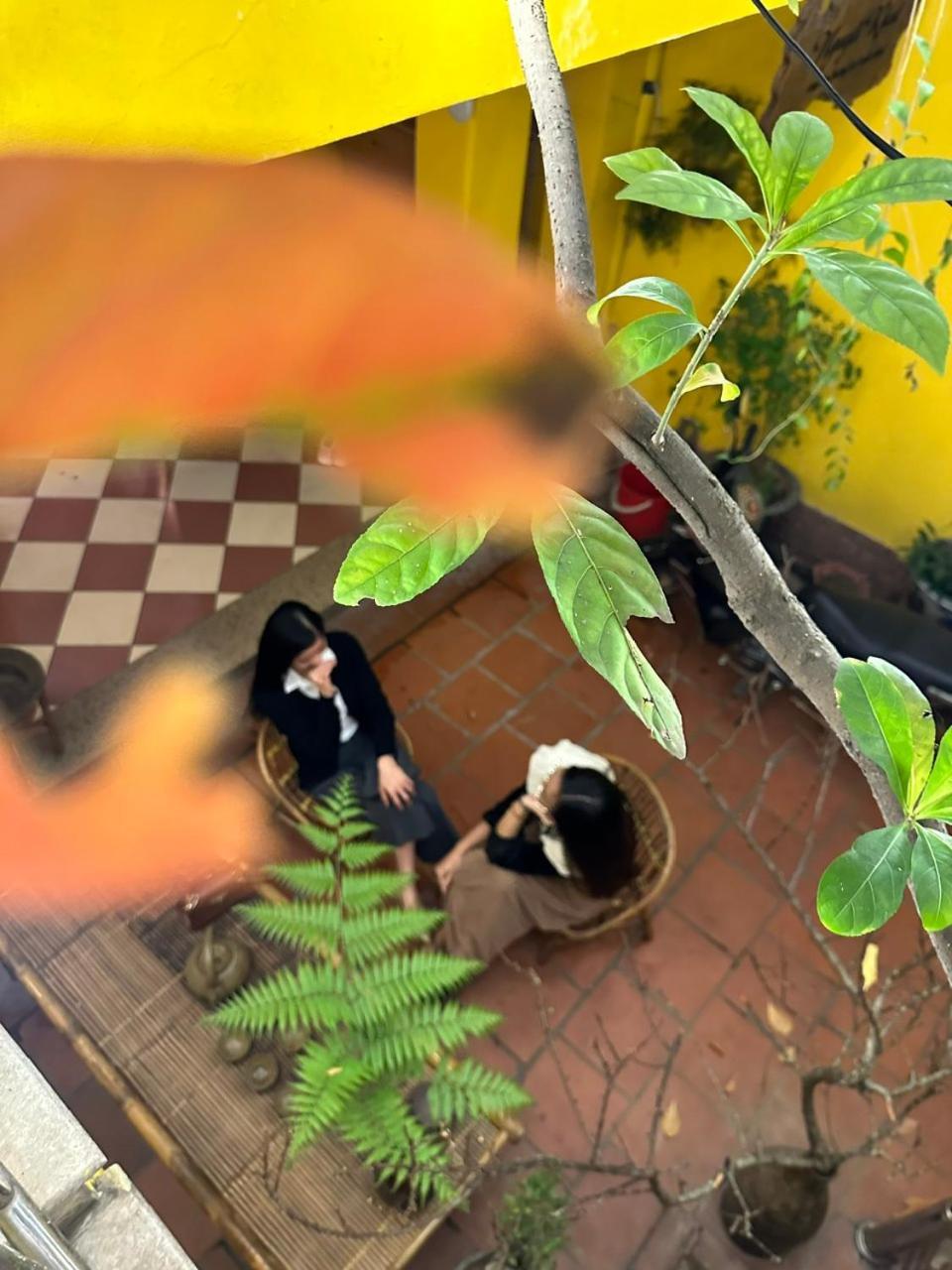 Morri Homestay - Quan Thanh Hanoi Eksteriør bilde