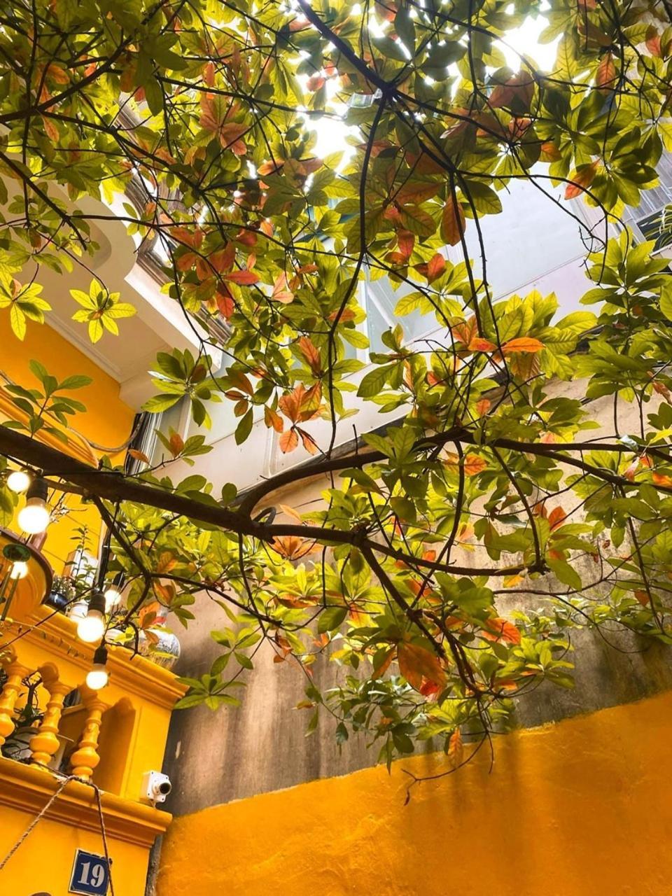 Morri Homestay - Quan Thanh Hanoi Eksteriør bilde
