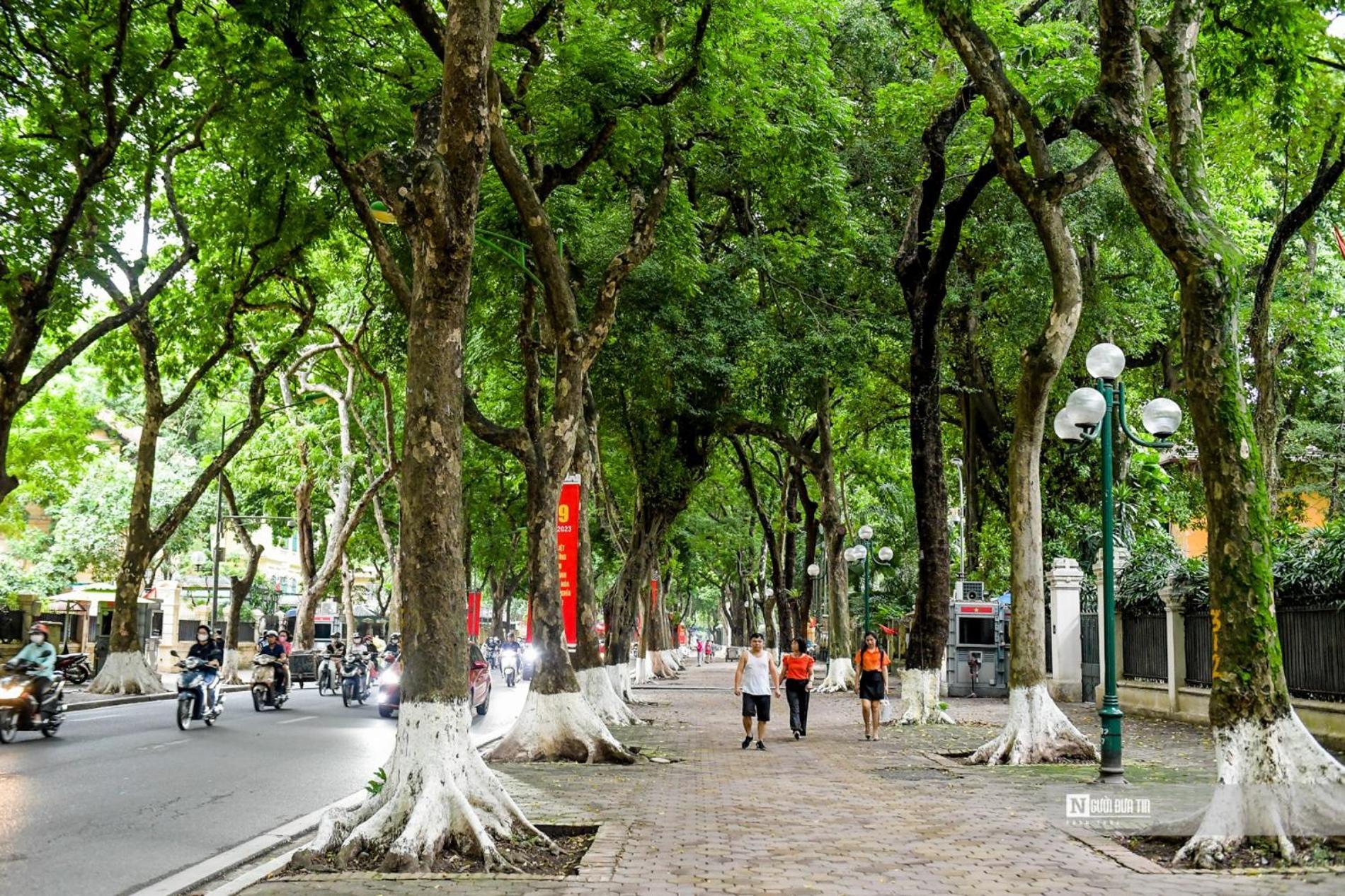 Morri Homestay - Quan Thanh Hanoi Eksteriør bilde