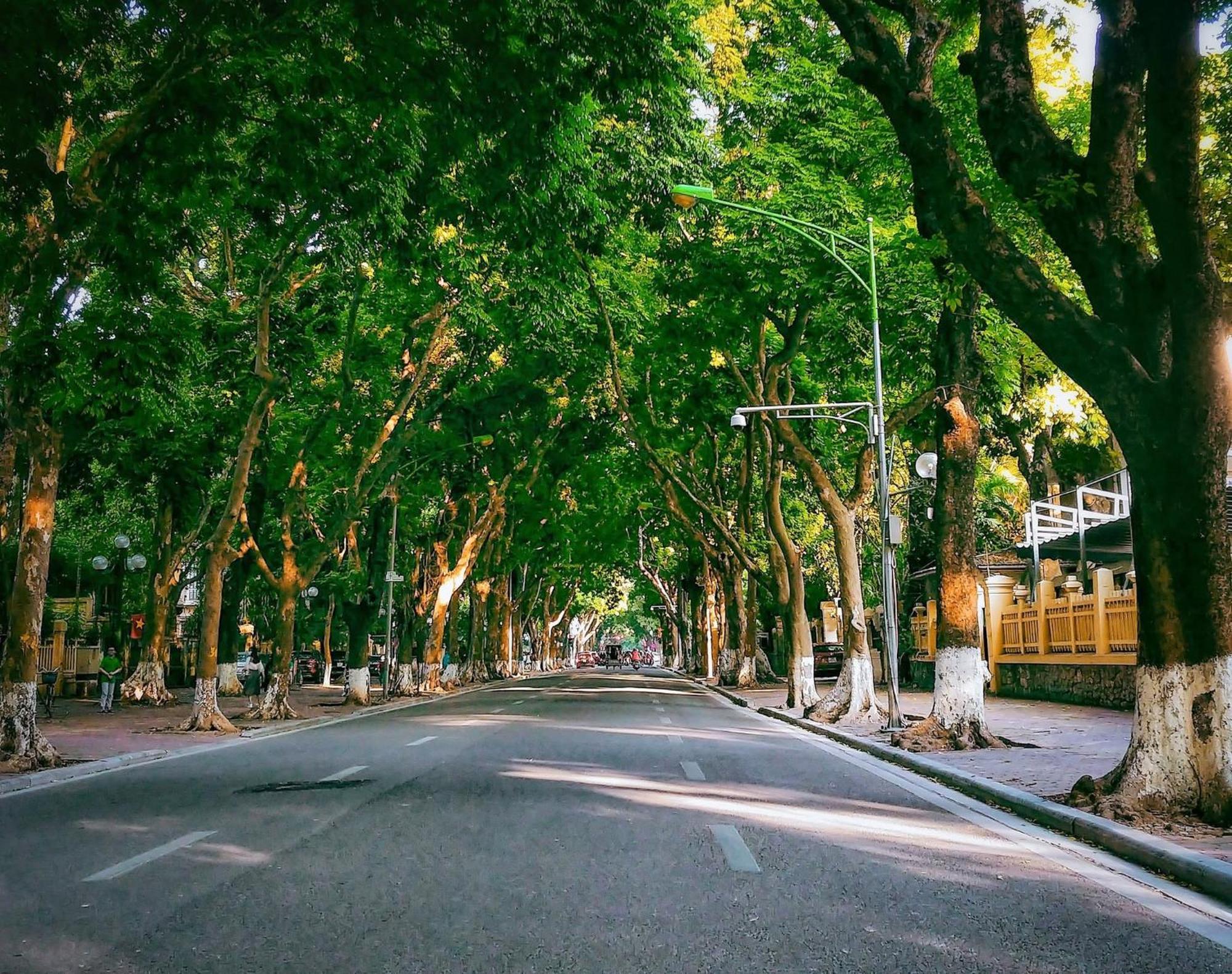Morri Homestay - Quan Thanh Hanoi Eksteriør bilde