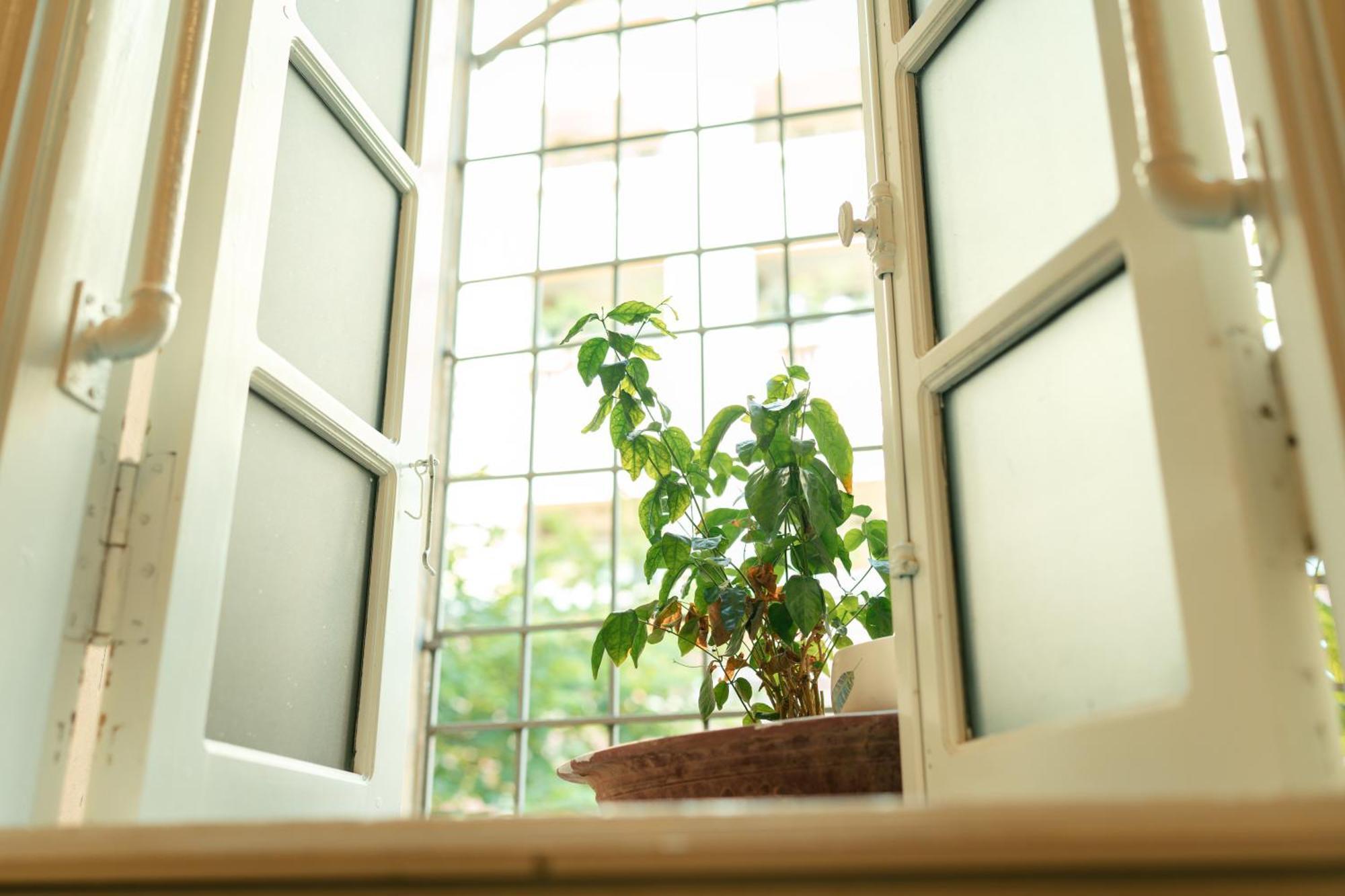 Morri Homestay - Quan Thanh Hanoi Eksteriør bilde